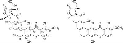 Proteomic Comparison of the Cytotoxicology of Two Diastereomers of Citreamicin Reveals Differentially Activation of NF-κB Pathway